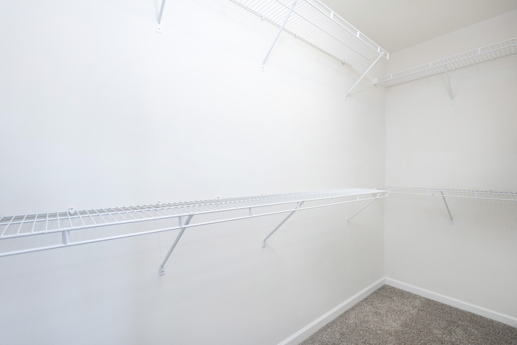 Building Photo - 2601 Potomac Ct