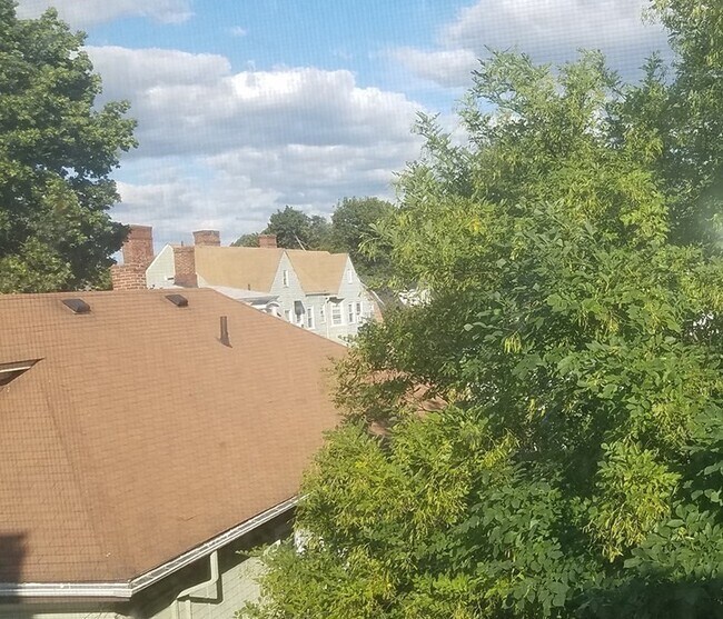 Building Photo - 102 Ellery St