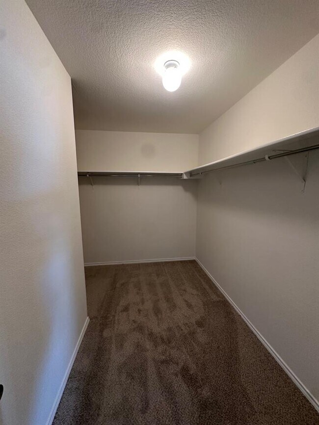 Building Photo - 102 Blanco Woods Blvd