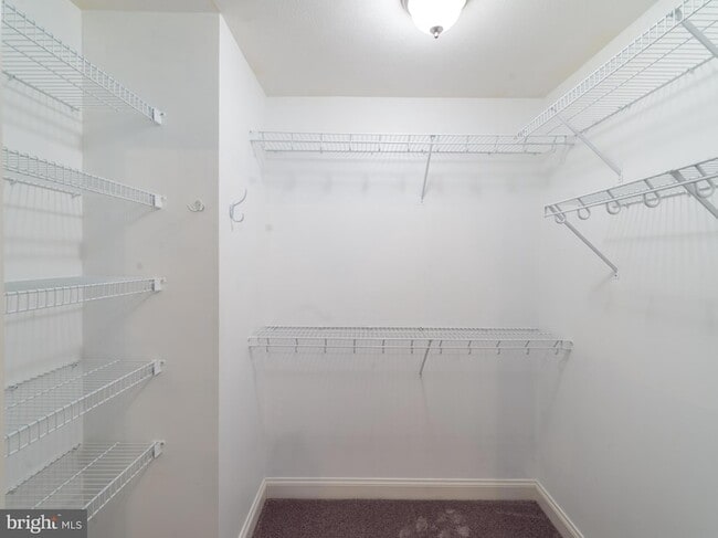 Building Photo - 2616 Greenport Dr