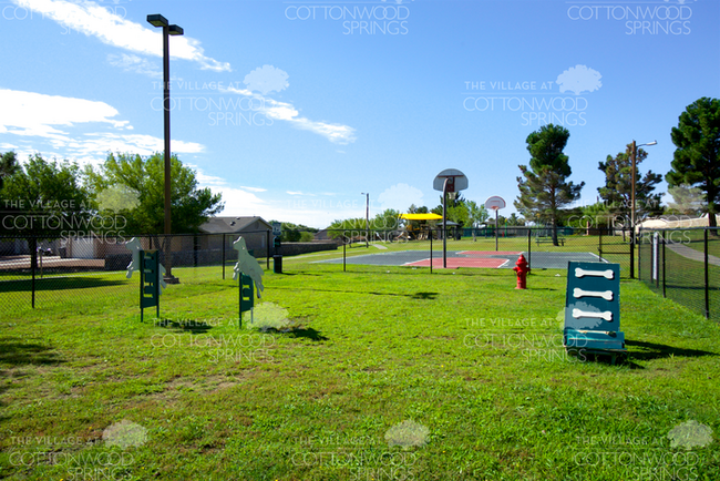 Building Photo - The Village at Cottonwood Springs