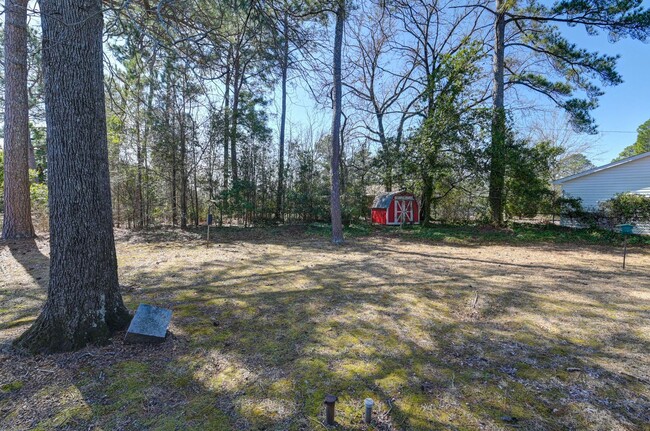 Building Photo - Charming 3-Bed home in Cayce with a spacio...