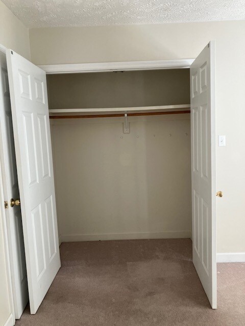 Bedroom #2 Closet - 1101 Pine Run Dr