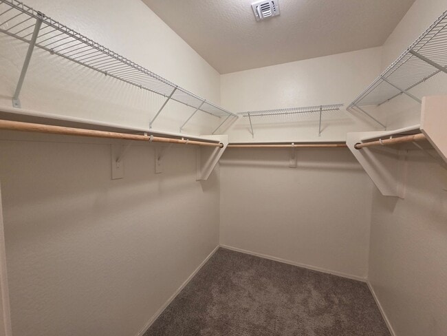 Building Photo - Beautiful 3-bed, 2-bath in North Cooper Canyon!