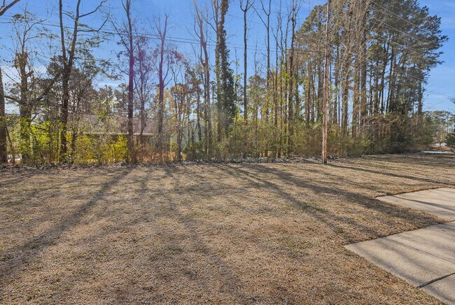 Building Photo - 2803 Currituck Ct