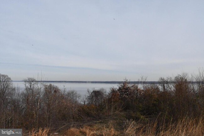 Building Photo - 2105 Hemlock Bay Rd