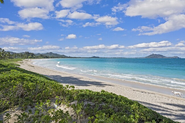 Building Photo - Ocean View Villa w/Beach as Backyard, Walk...