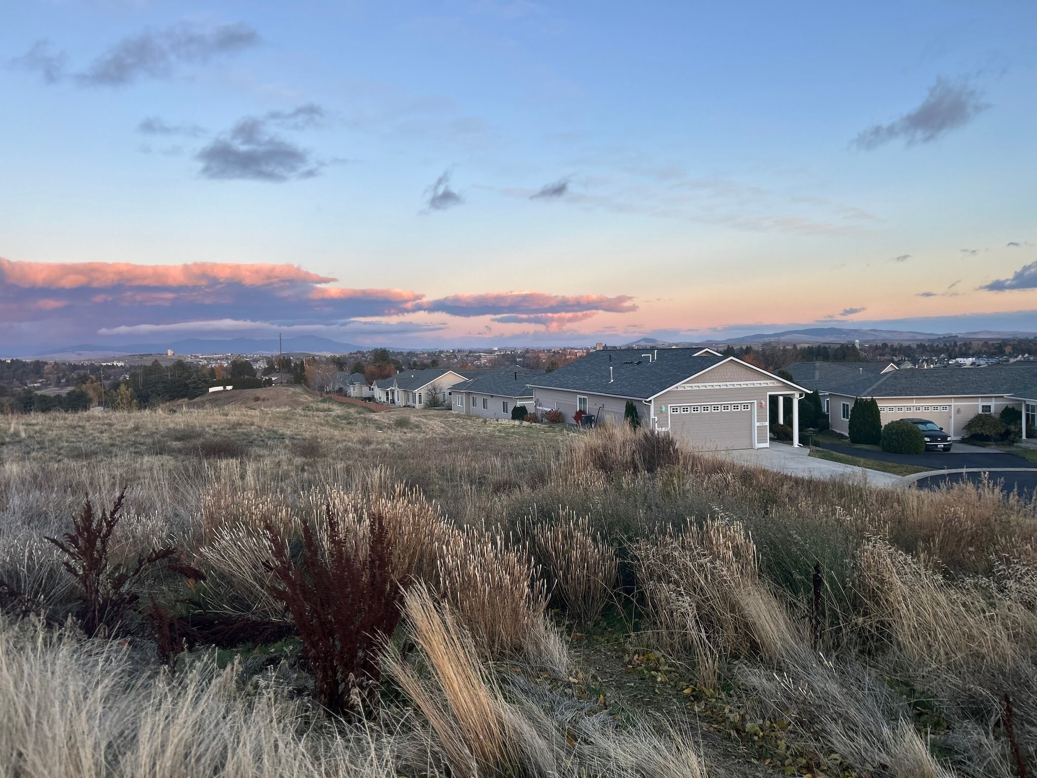 Building Photo - 1545 Capri Ct