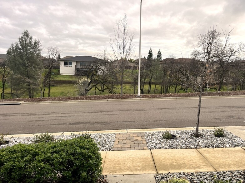Looking out from the front door - 358 Reddington Dr