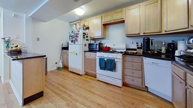 Building Photo - Lincoln Park Garden Level Two Bedroom