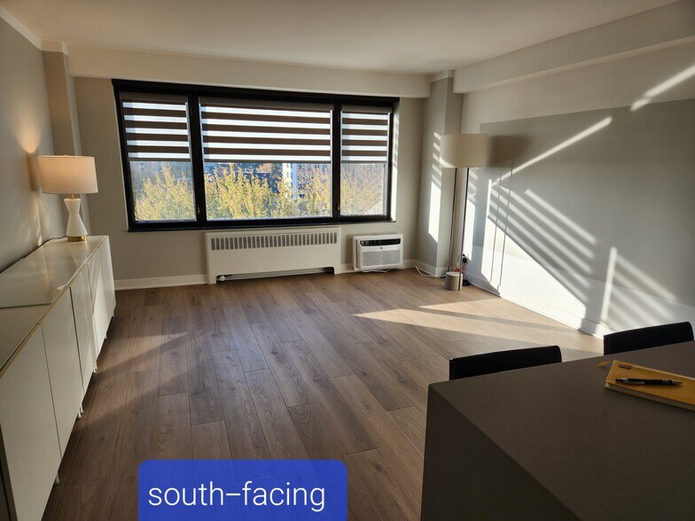 Motarized smart zebra blinds - 3100 N Lake Shore Dr