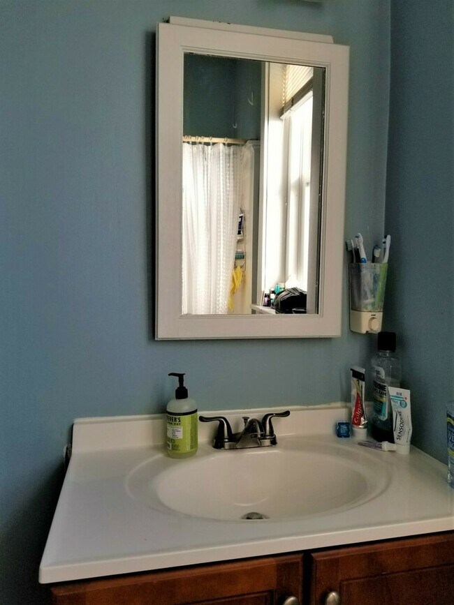 Building Photo - Packard's Corner 3 bed w/dishwasher, TONS ...