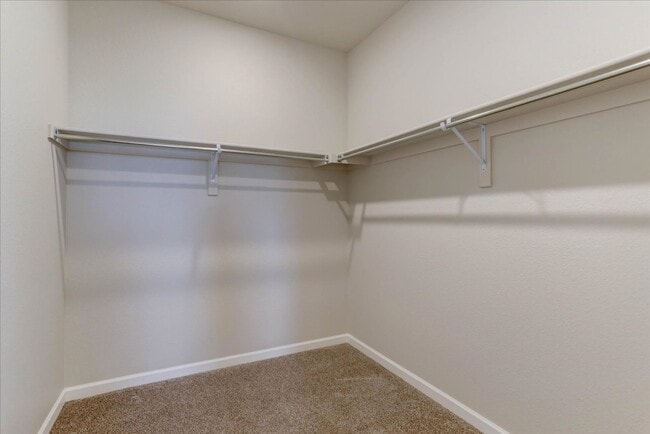 Building Photo - 137 Ambrose St
