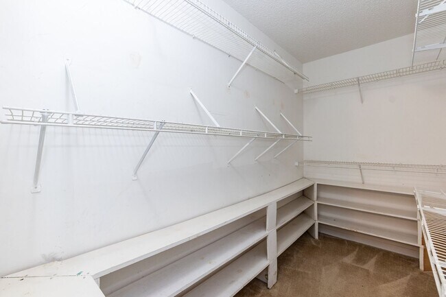 Building Photo - Gorgeous 3 Bedroom Home in Raleigh