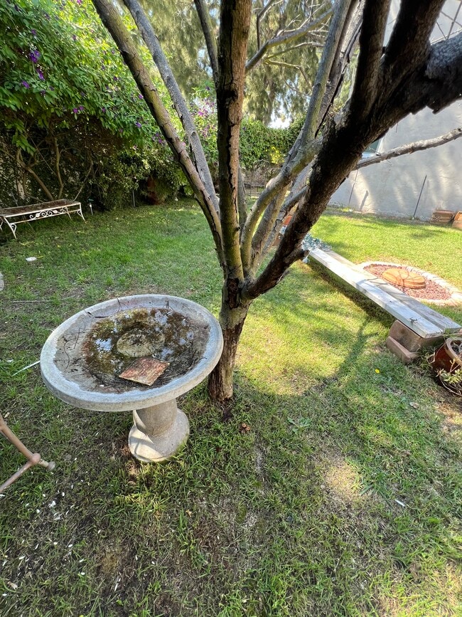 BIRD BATH - 2441 10th St