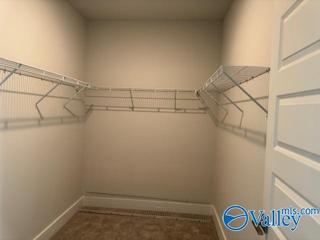Building Photo - 125 Clift Farm Dr