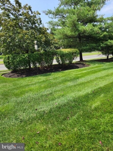 Building Photo - 4003A Saxony Dr