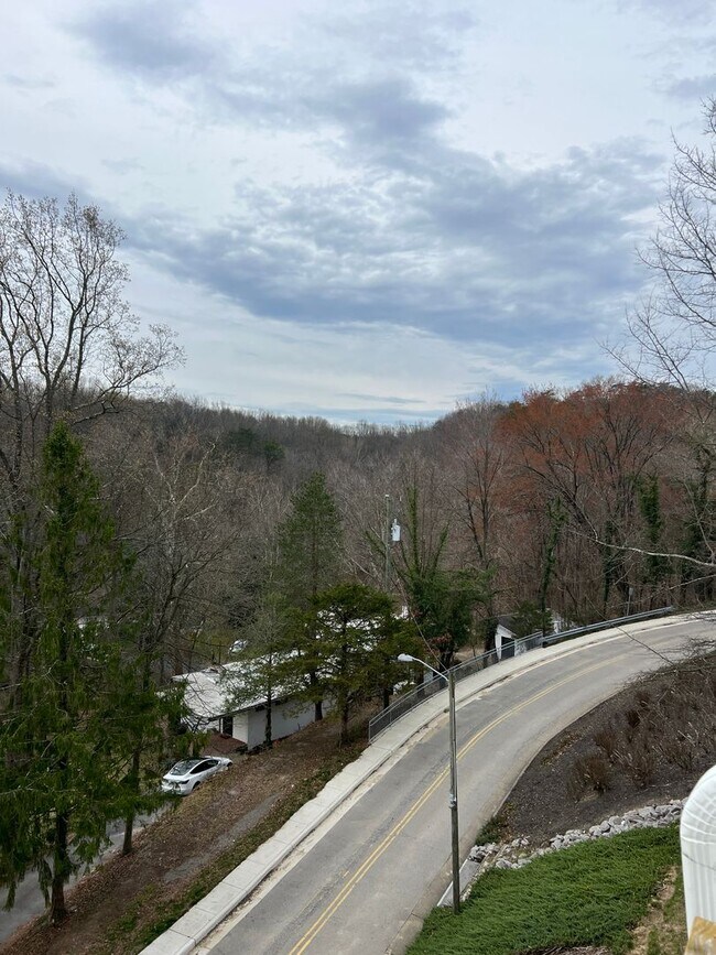 Building Photo - Stunning 2 bedroom and 3 Bathroom Townhome Style Condo / w Pool