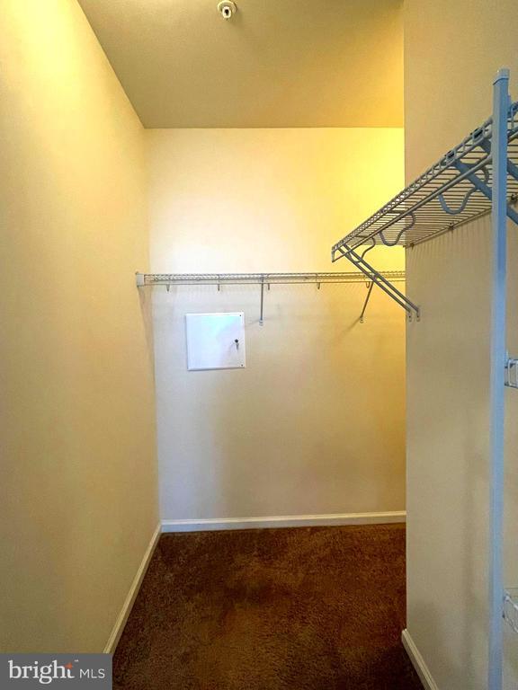 Building Photo - 24558 Rosebay Terrace