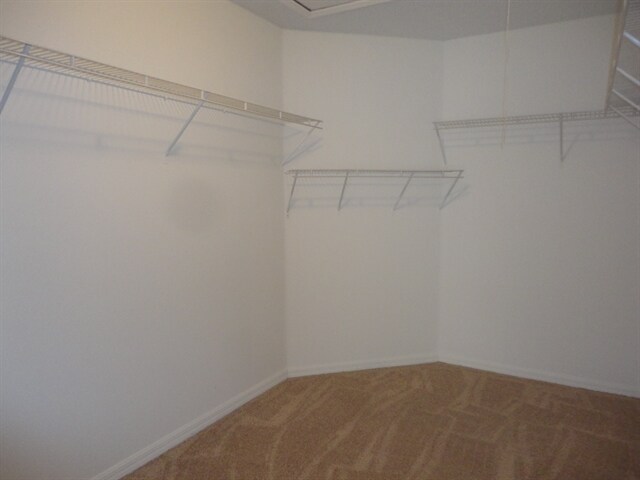 Building Photo - 4618 Castile Way S