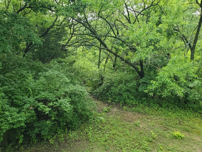 Building Photo - Secluded luxury cabin in woods with private lake! Great Central location between Topeka & Lawrenc...