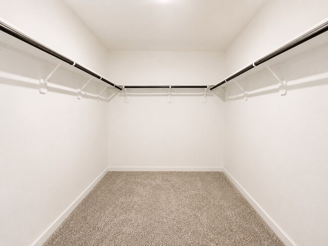 Building Photo - 28130 Meadowlark Sky Dr