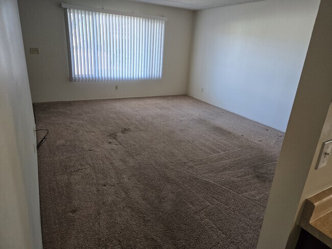 Living Room - 613 Peartree Dr