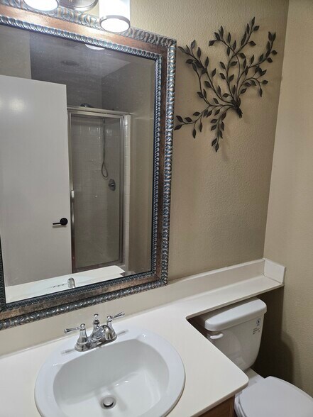 Downstairs bathroom - 4747 Camberley Ct