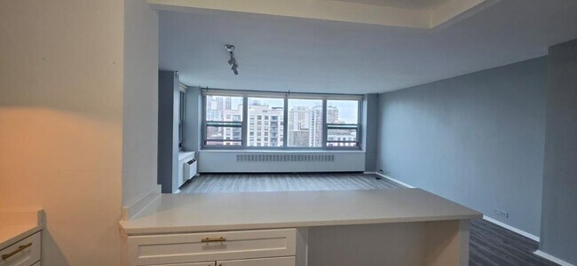 Building Photo - 1255 N Sandburg Terrace
