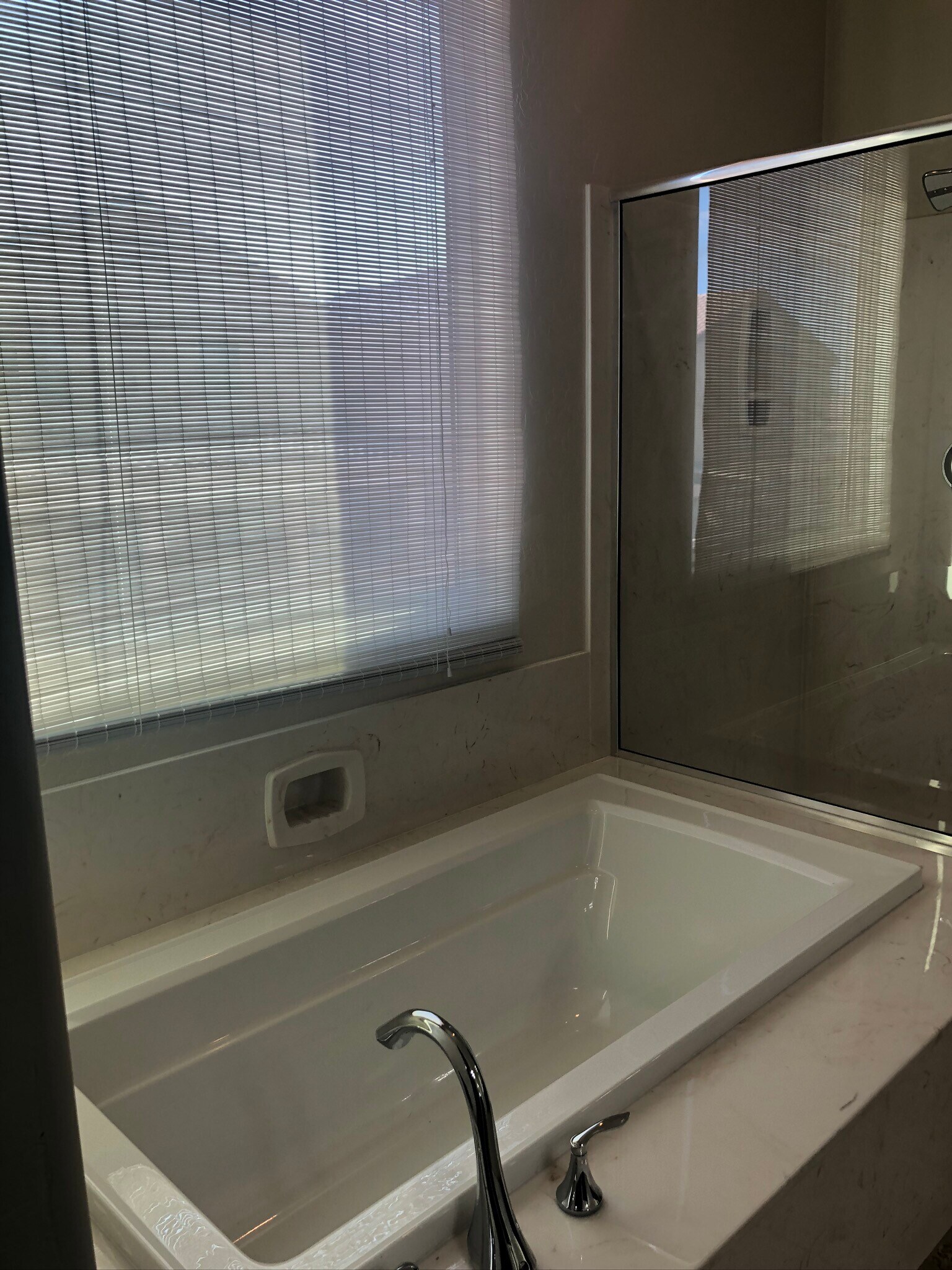 Master Tub - 263 Garden Trellis Ct