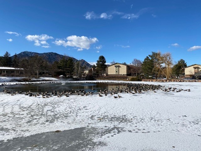 Tantra lake - 860 W Moorhead Cir