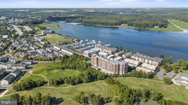Building Photo - 440 Belmont Bay Dr