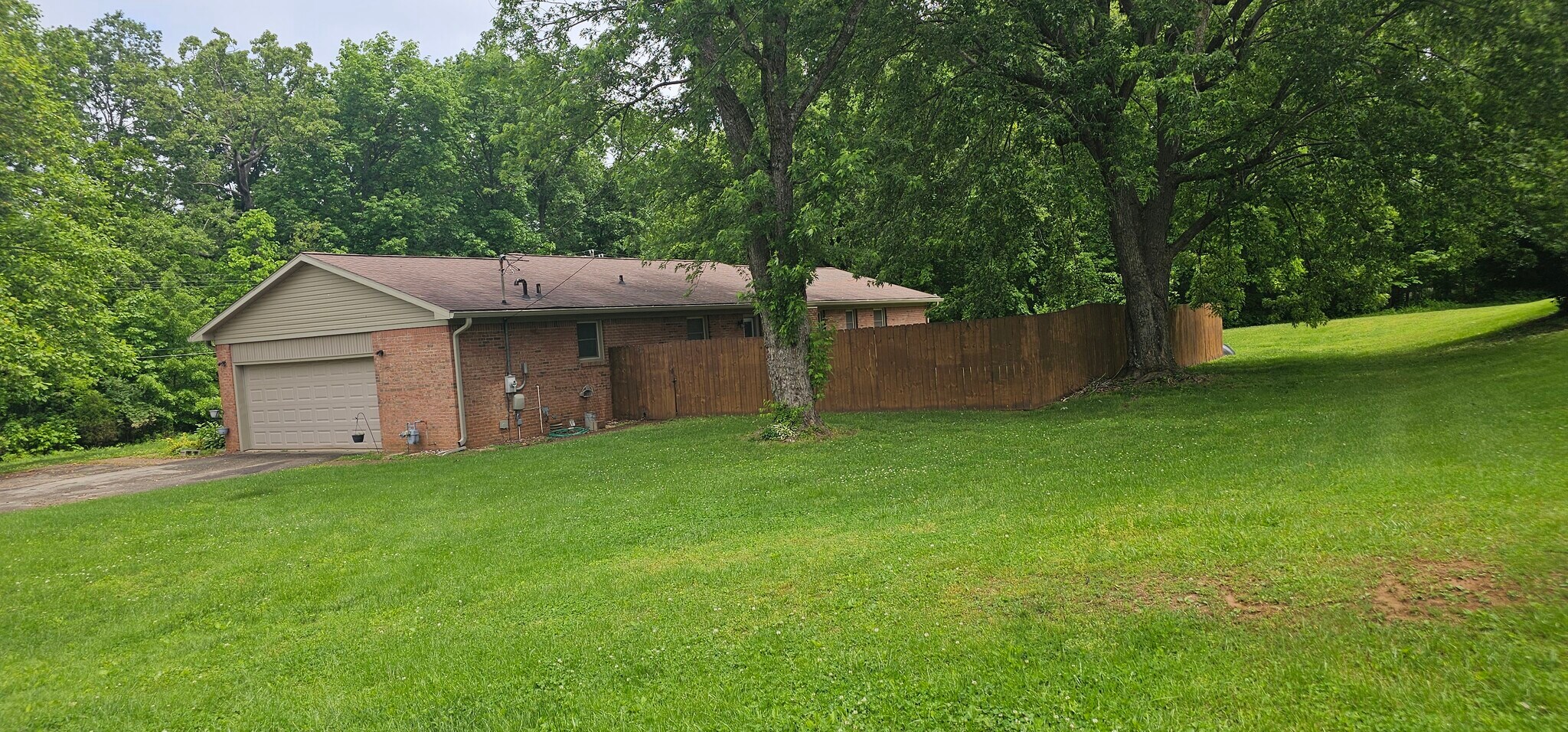 Back of house & yard - 901 Hurst Dr