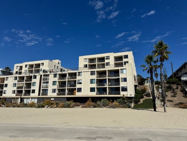 Primary Photo - Steps from Alamitos Beach! Modern 1 bed 1 ...