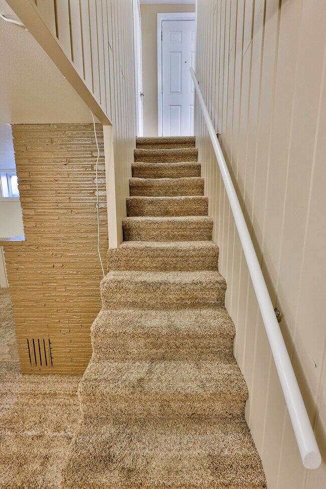 All carpets professionally cleaned downstairs - 1020 E Garden Ave