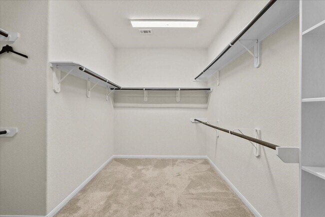 Building Photo - 2246 Oakleaf Trail Ln