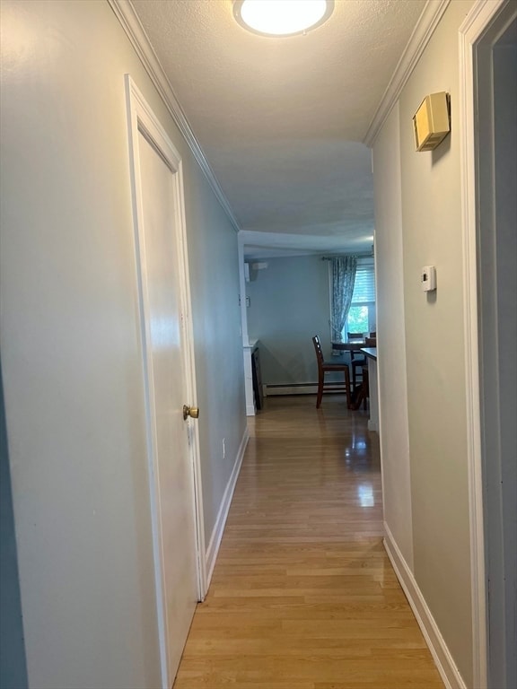 Building Photo - 24 Lily St