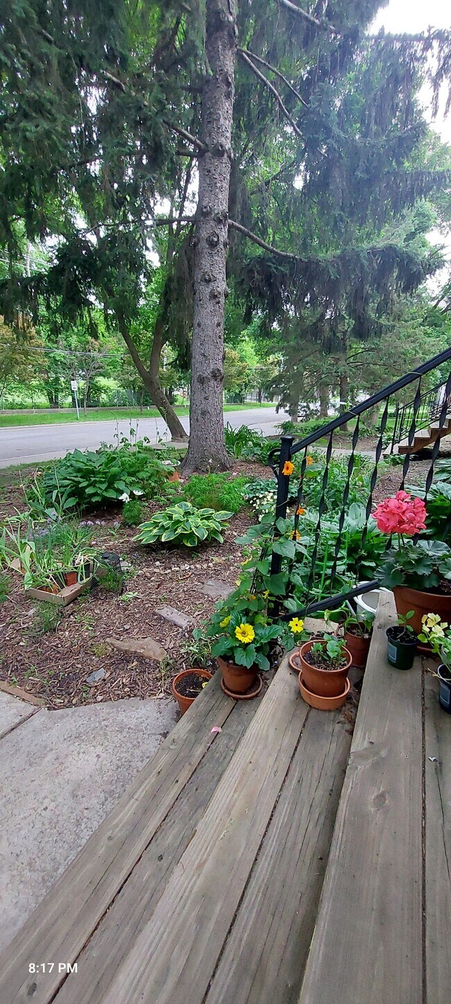 Building Photo - 1637 Christie Pl