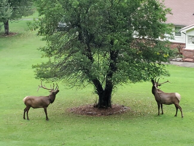 Building Photo - 7 Higel Ln