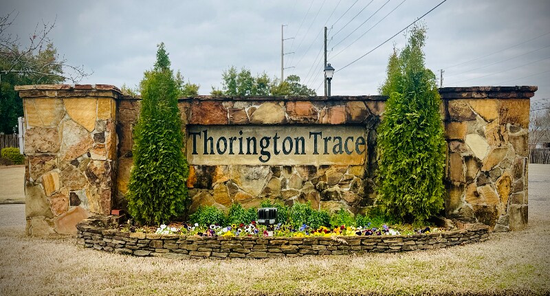 Building Photo - 8928 Asheville Dr