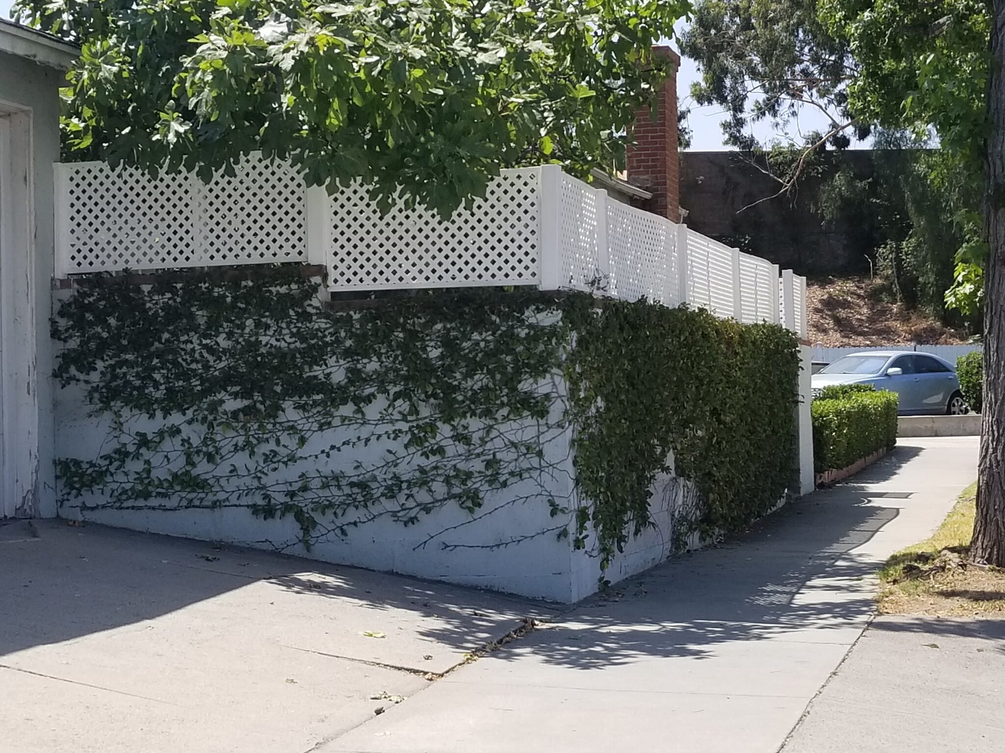 Private Fence - 669 Fairmont Ave