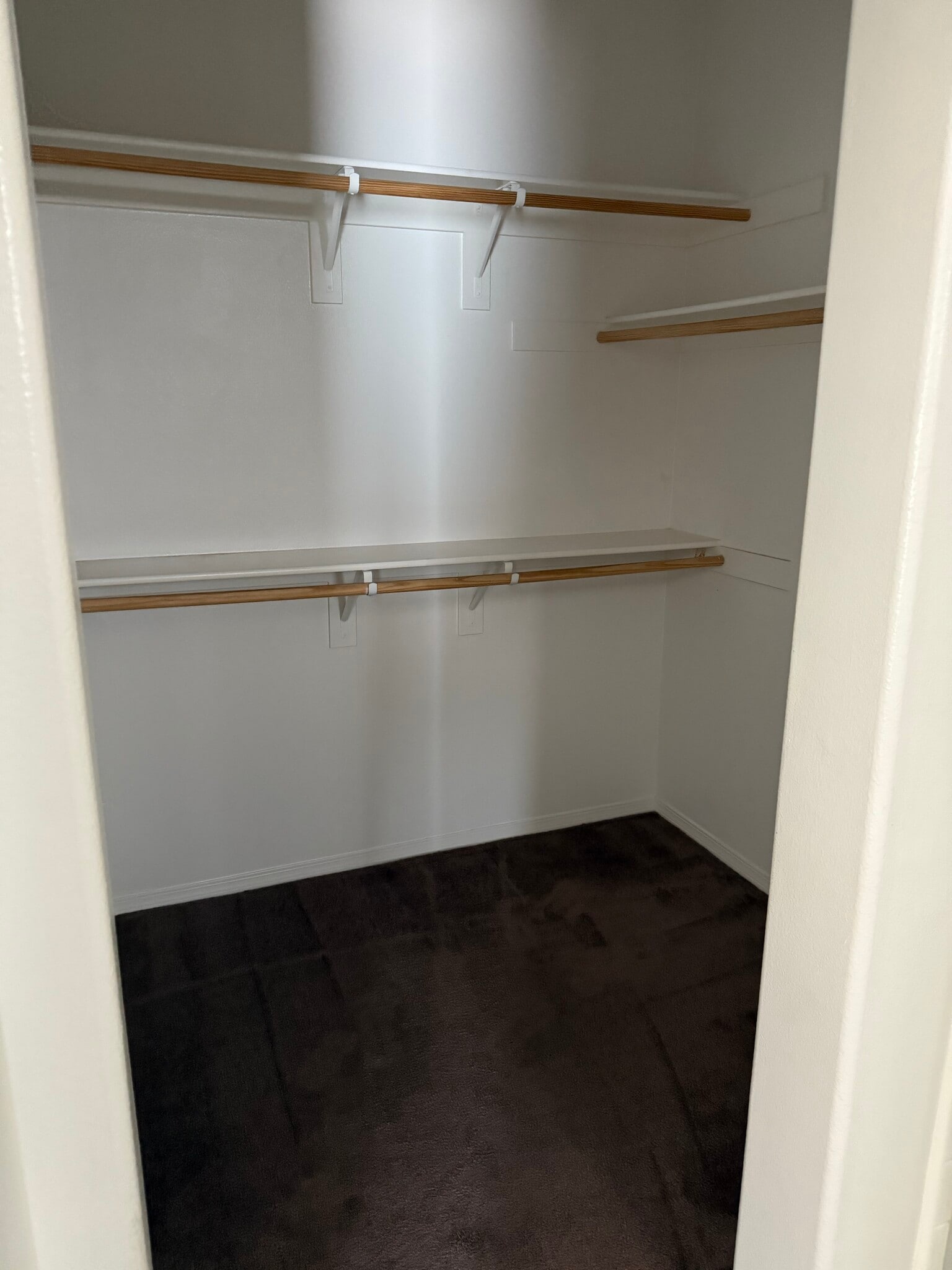 Building Photo - 1505 Winter Ln