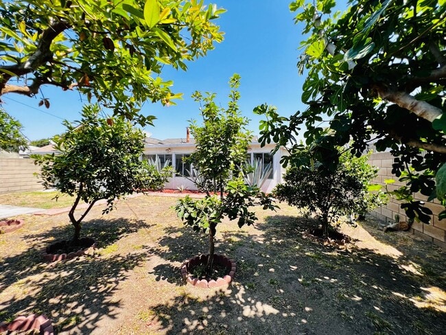 Building Photo - 4 BED HOUSE with Garage, Yard, Pets Consid...