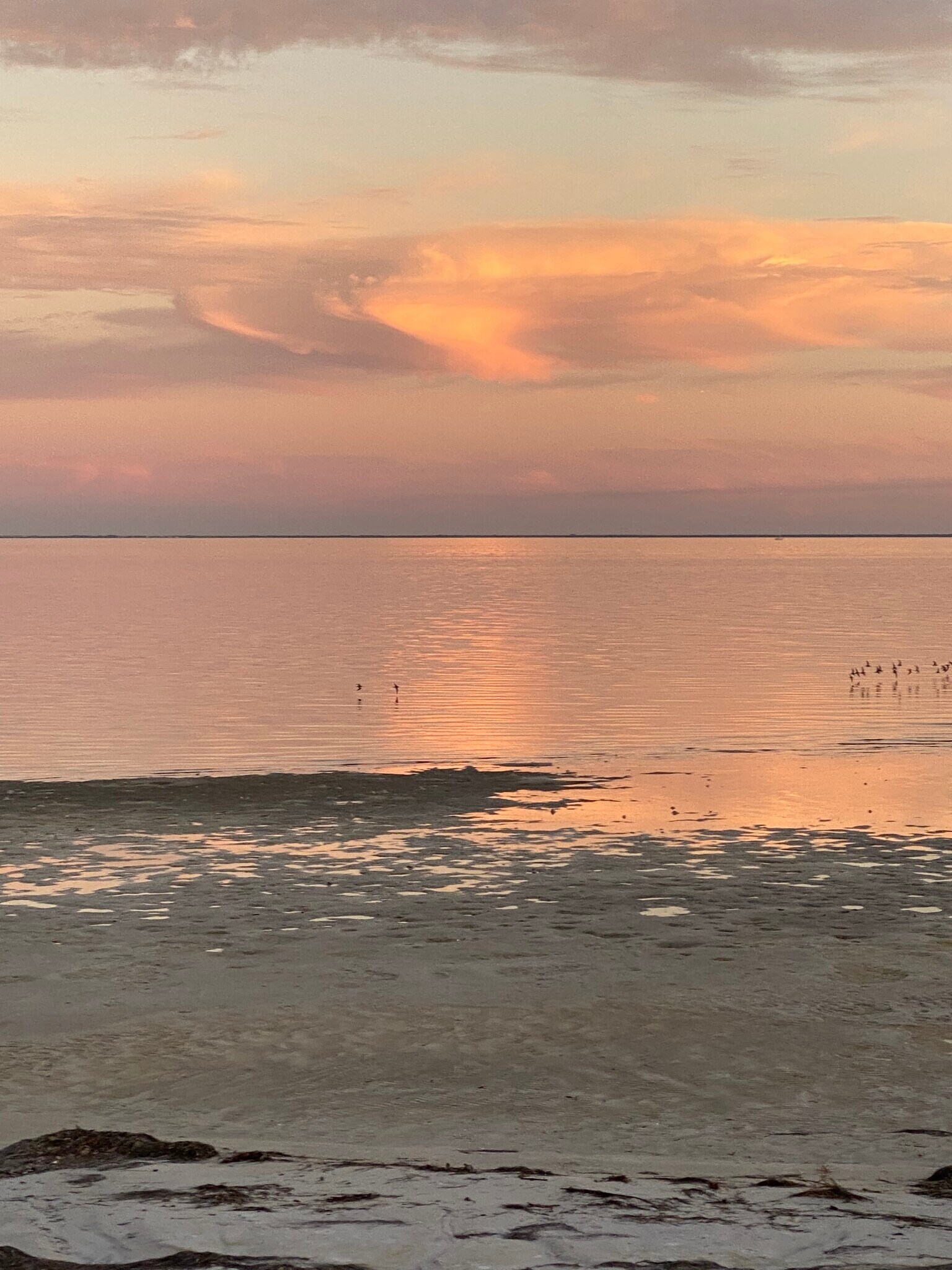 Building Photo - 249 8th Ave N