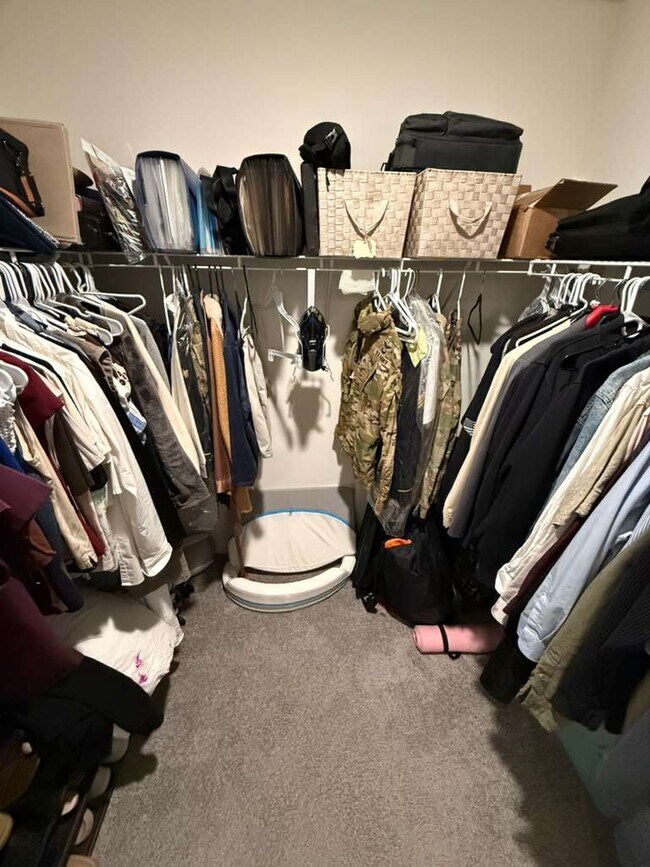 Building Photo - 3771 Alder Bark Ln