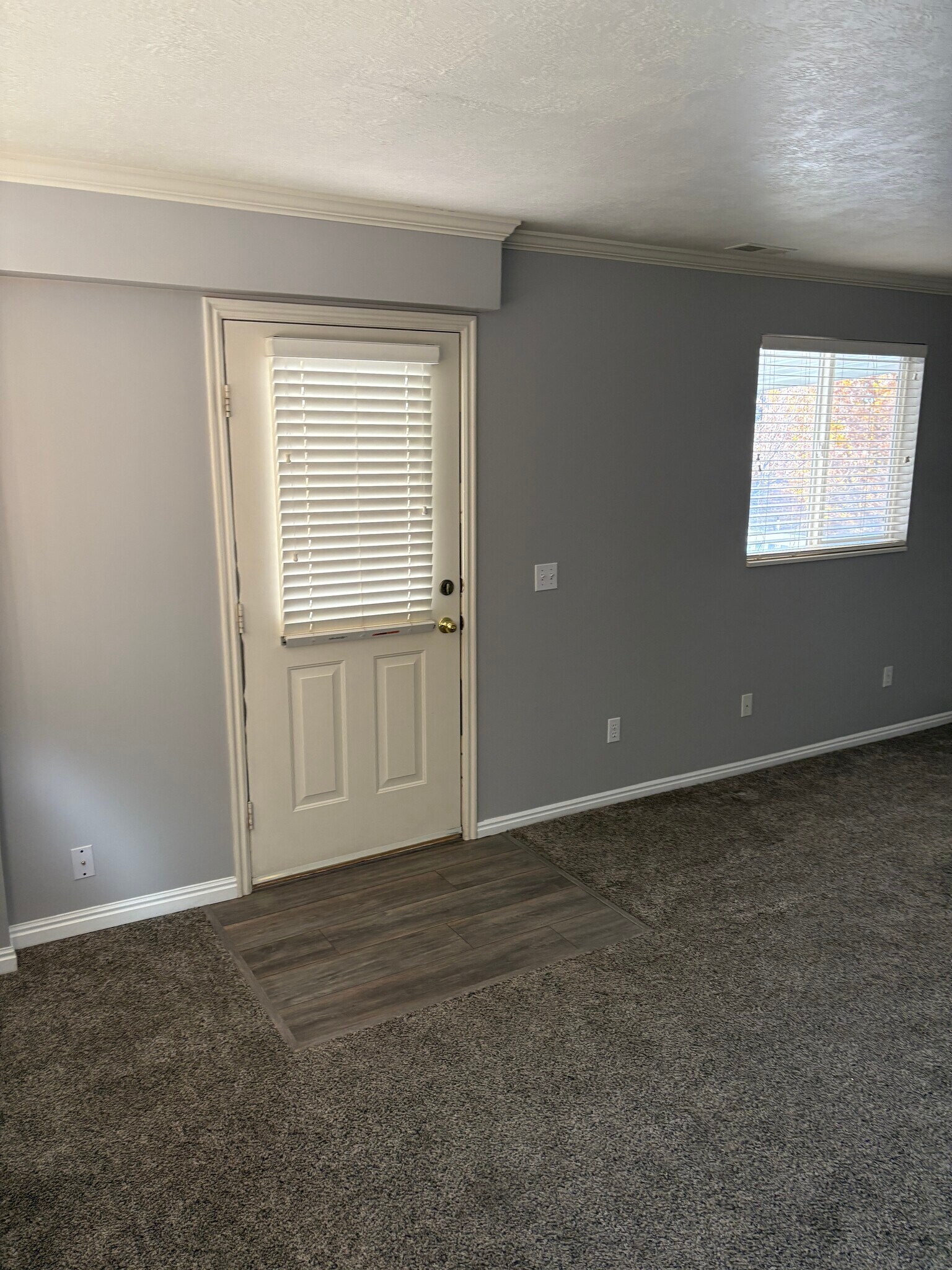 Back Yard Access - 474 S 1300 E