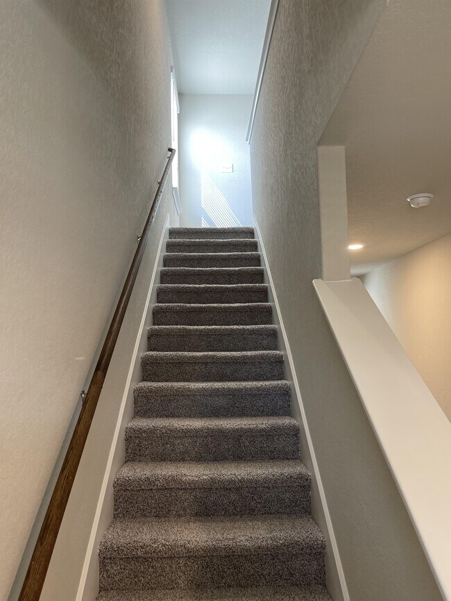 Building Photo - 2532 Ayers Dr