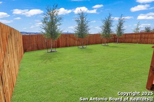 Building Photo - 183 Ringed Plover