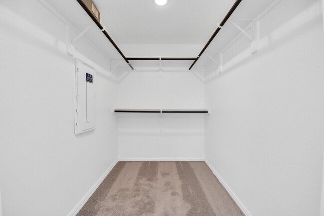 Building Photo - 27019 Bahia Grove Dr