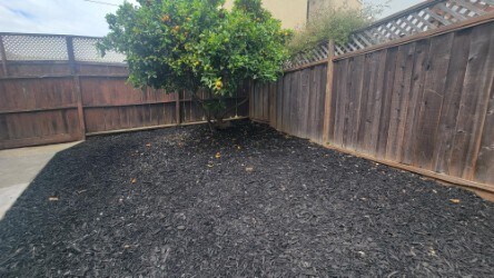 Yard - 622 Miller Ave